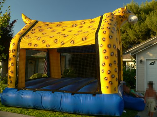 CHEETAH20060723.JPG, 45 kB